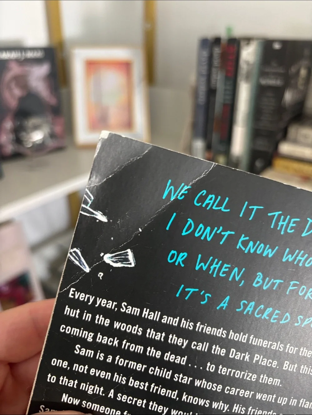 Secrets Never Die — Paperback Book